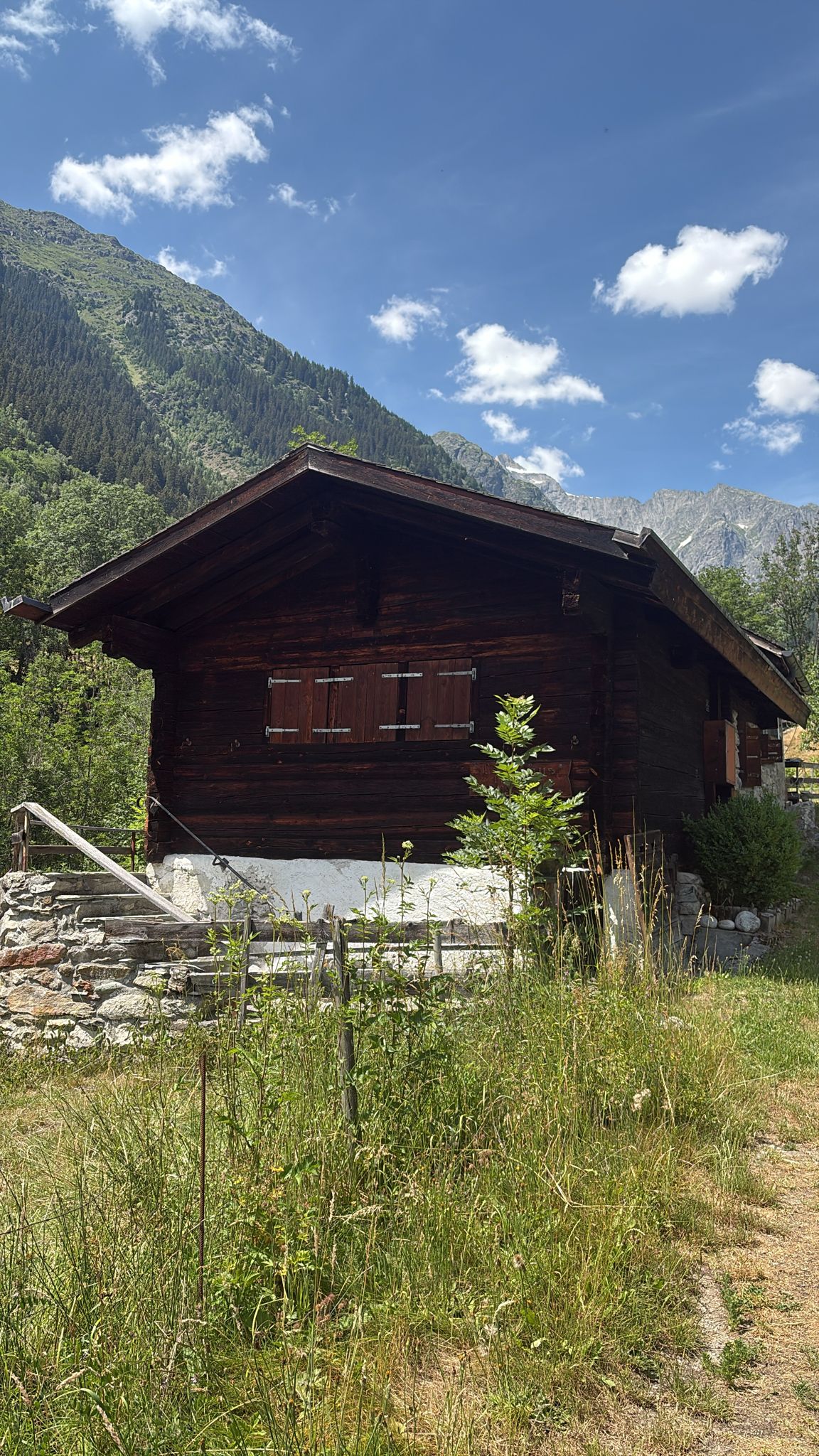Backhaus